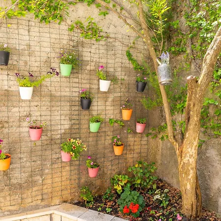 Lile Daire Dubrovnik