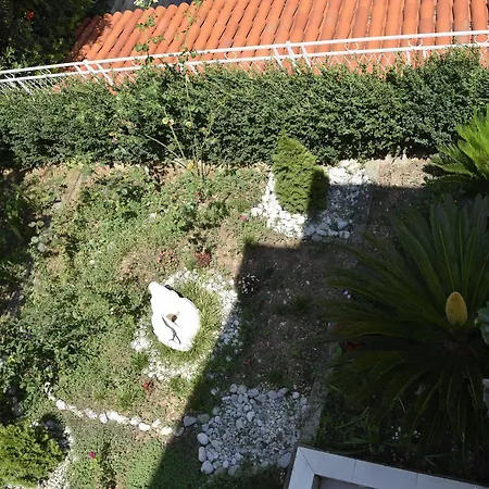 Lile Daire Dubrovnik